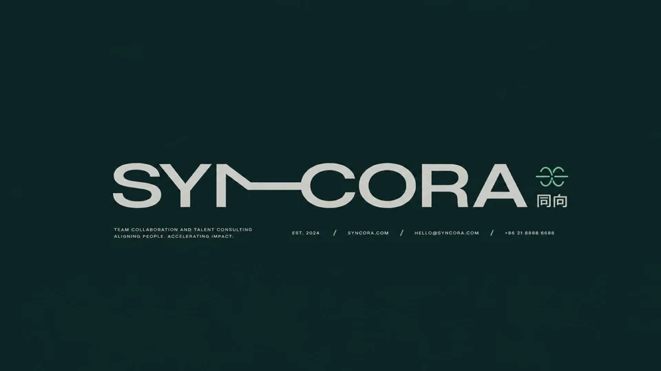 同向 SYNCORA 项目预览